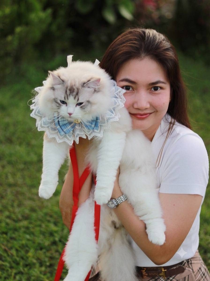 เจ้าของกับแมวสุดที่รักที่ The Twin Tower